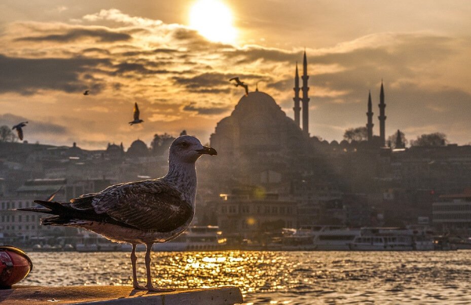 vue mosquée istanbul